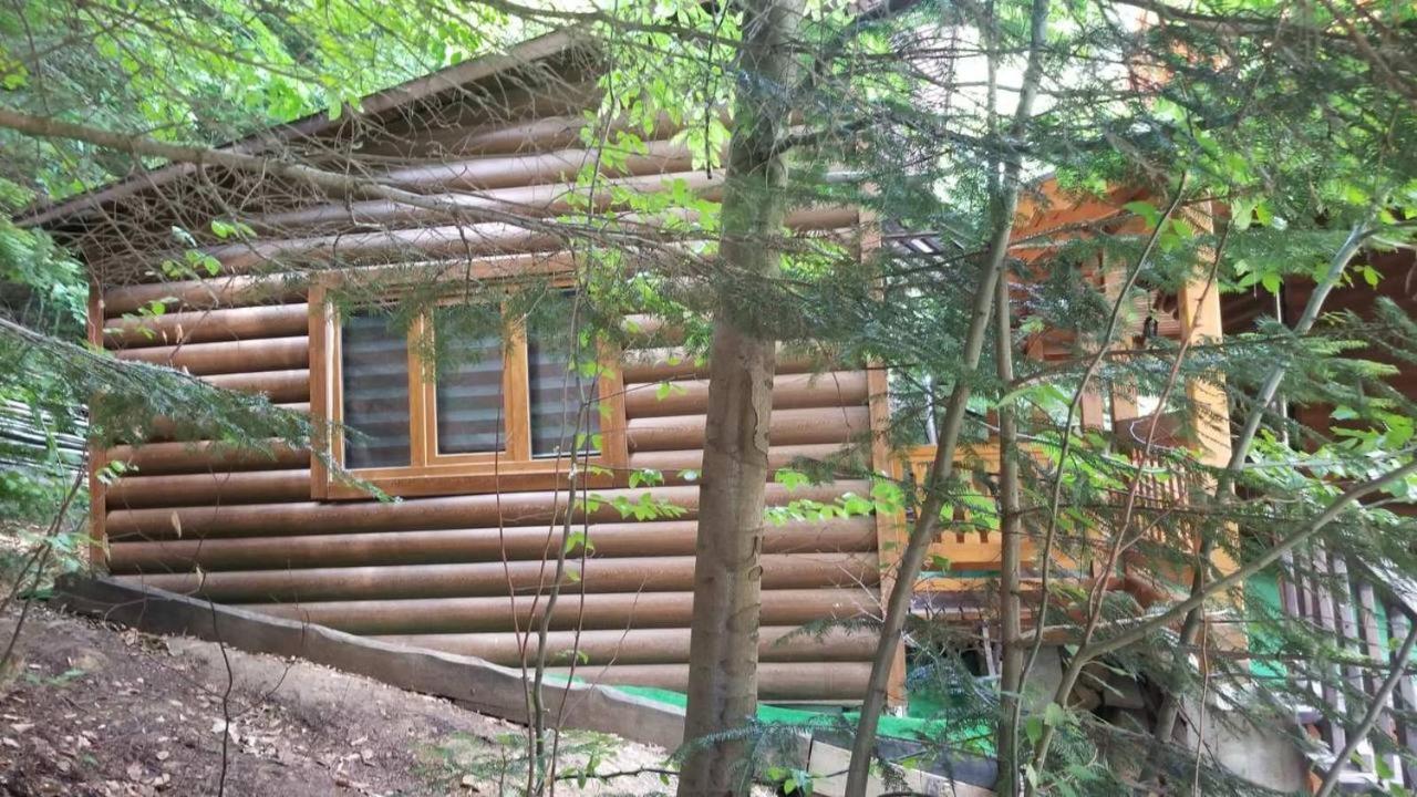 Provintsia Villa Migovo Luaran gambar
