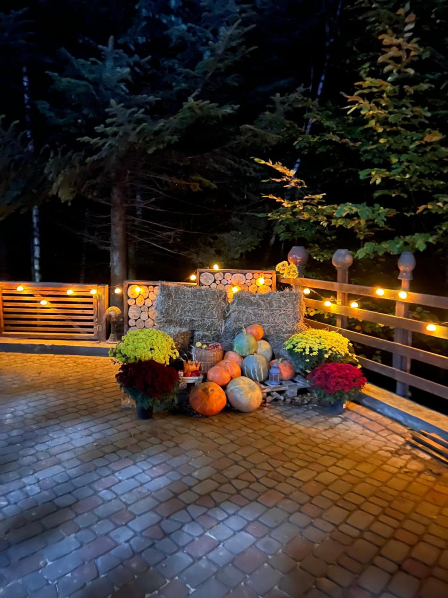 Provintsia Villa Migovo Luaran gambar